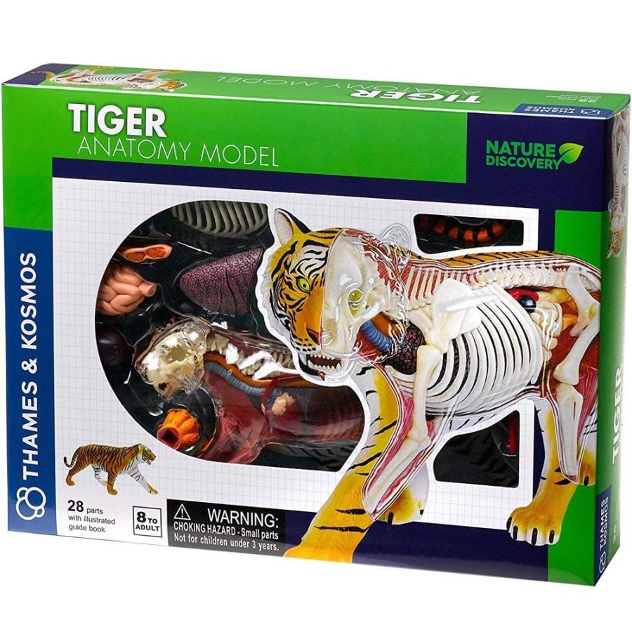 Thames and Kosmos Thames And Kosmos Animal Anatomy - Tiger | Toys Science Kits For Kids