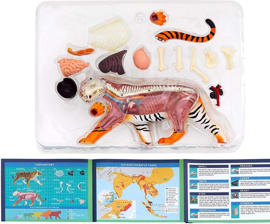 Thames and Kosmos Thames And Kosmos Animal Anatomy - Tiger | Toys Science Kits For Kids