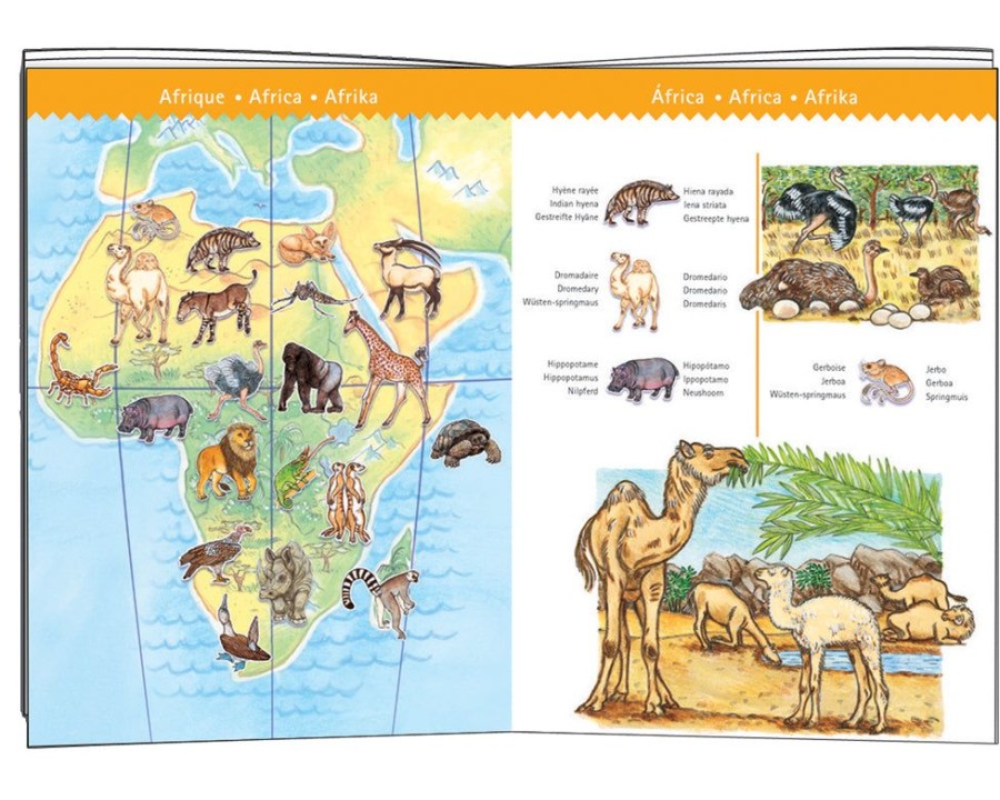 Djeco Worlds Animals & Booklet - Djeco Observation Puzzle | Toys Eco-Friendly Wooden Toys