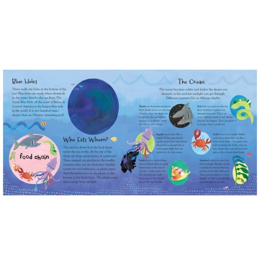 Barefoot Books A Hole In The Bottom Of The Sea | Toys Books