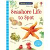 Usborne Books Usborne Mini Seashore Life To Spot | Toys Books