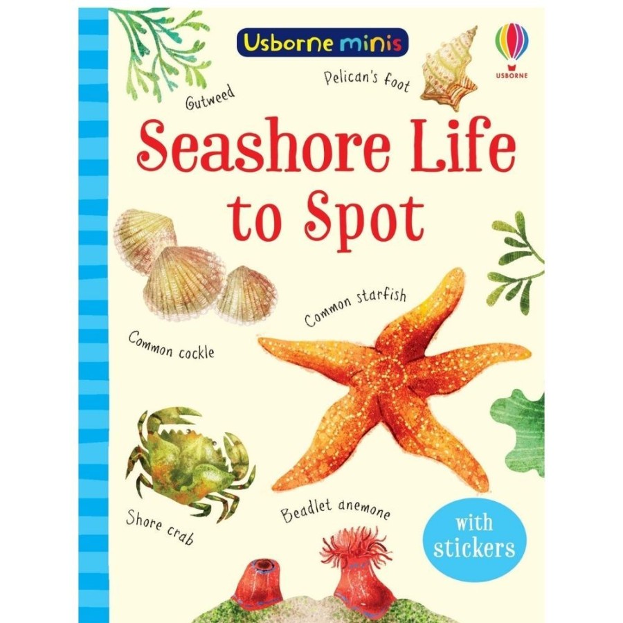 Usborne Books Usborne Mini Seashore Life To Spot | Toys Books