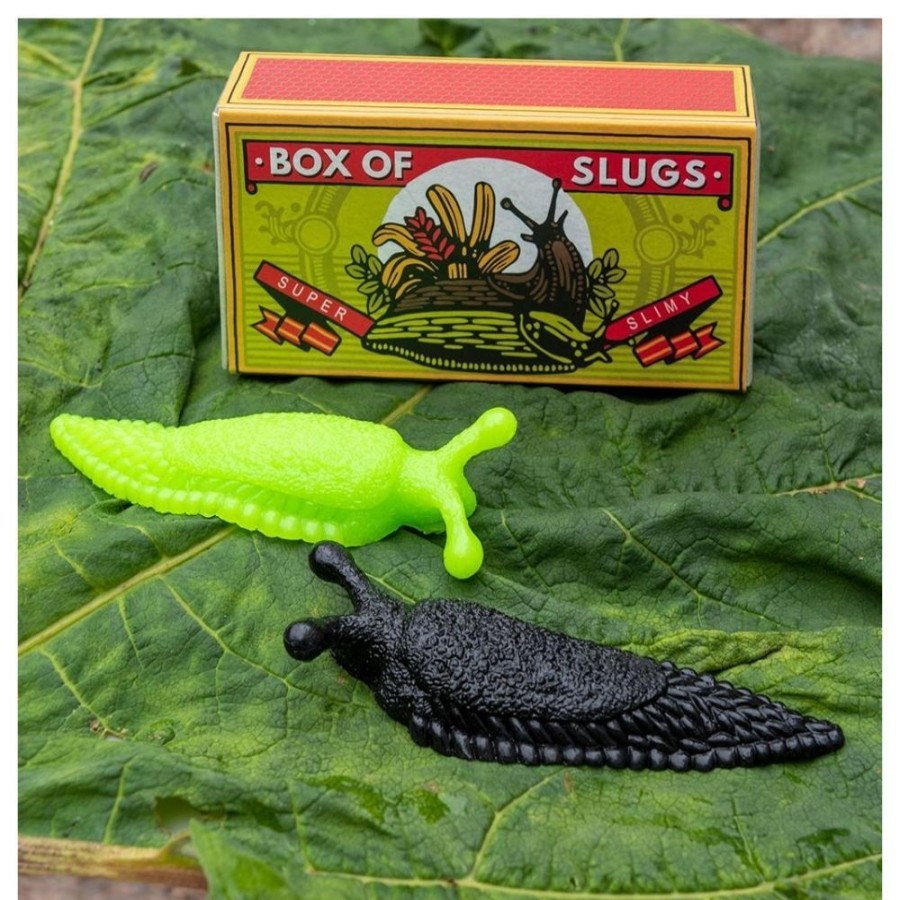 Rex London Rex London Box Of Slugs | Toys Gardening And Nature