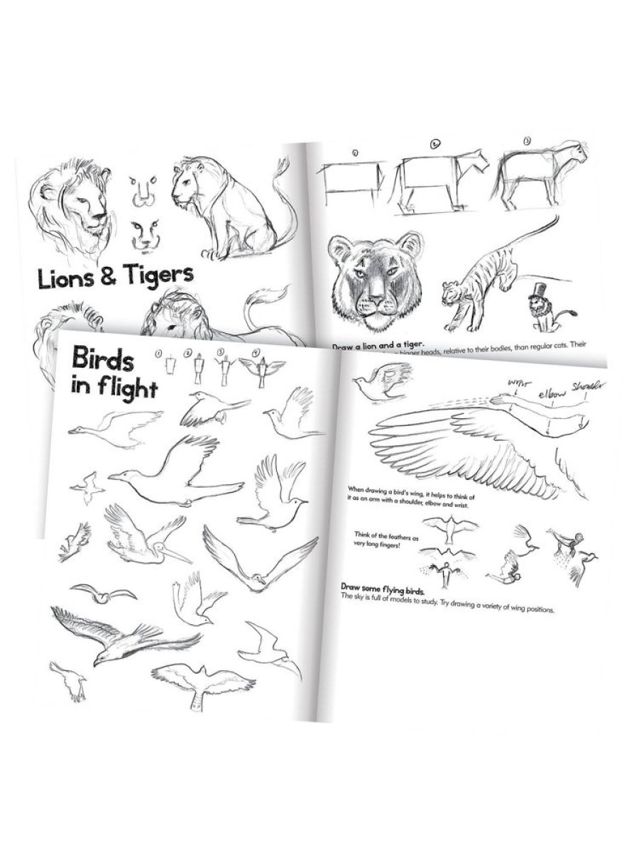 eeBoo Eeboo Learn To Draw Animals | Toys Books