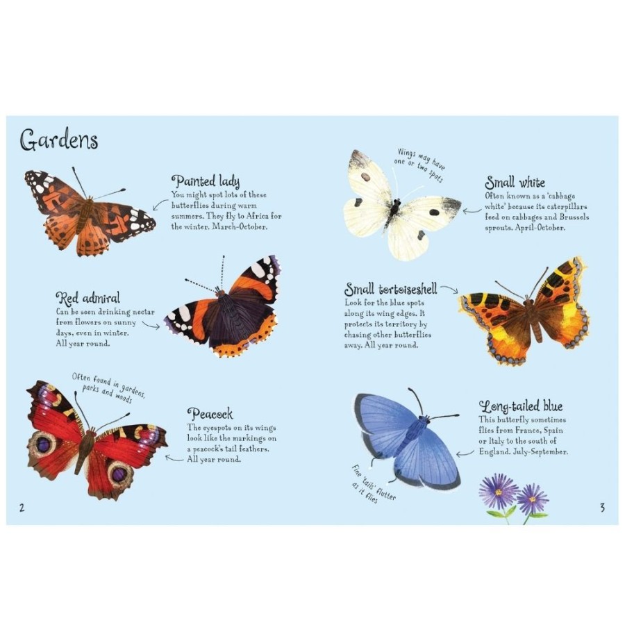 Usborne Books Usborne Mini Butterflies To Spot | Toys Books