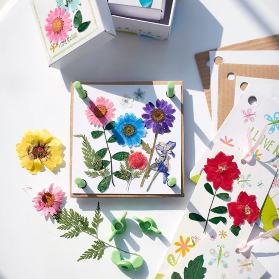 4m 4M Pressed Flower Kit | Toys Gardening And Nature