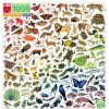 eeBoo Eeboo A Rainbow World 1000 Piece Jigsaw Puzzle | Toys Jigsaw Puzzles